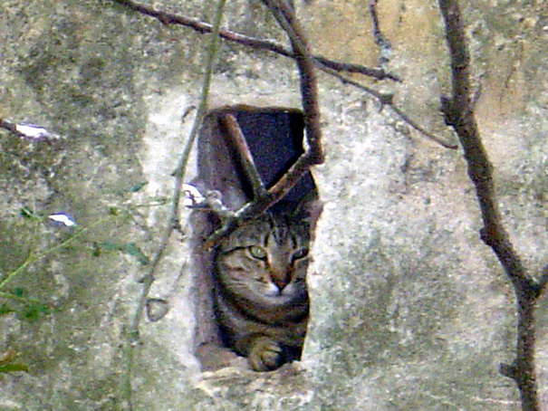 фото "Hi there!!!" метки: разное, 
