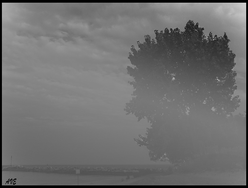 photo "thru the fog" tags: black&white, montage, 