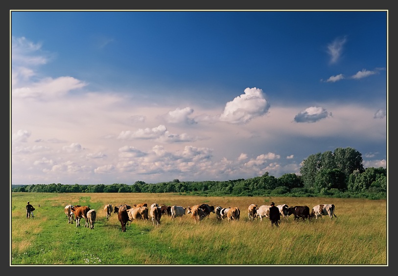 photo "Road to the house" tags: landscape, clouds, summer