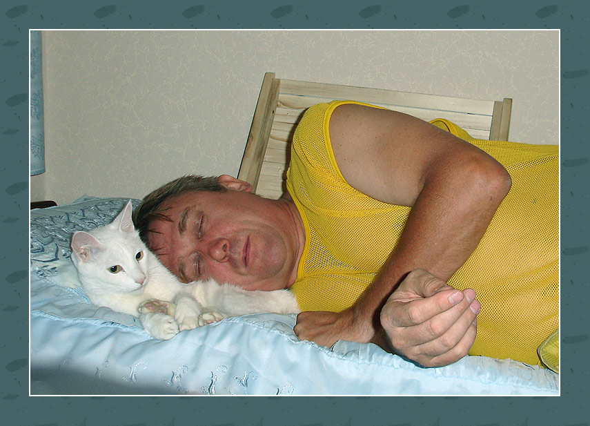 photo "Soft pillow" tags: humor, 