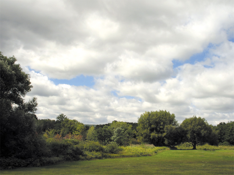 photo "Summer Color" tags: nature, 