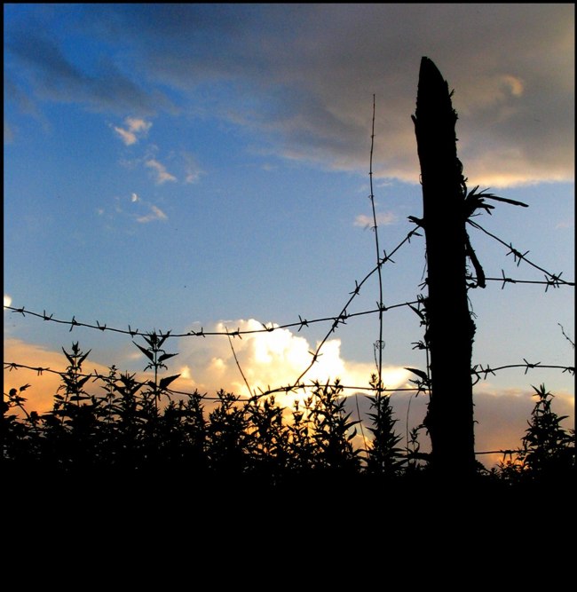 фото "Посадить закат за колючую проволоку." метки: пейзаж, лето