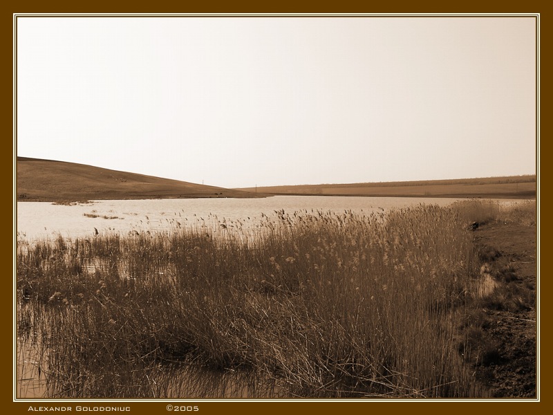 photo "The fishing..." tags: landscape, black&white, summer