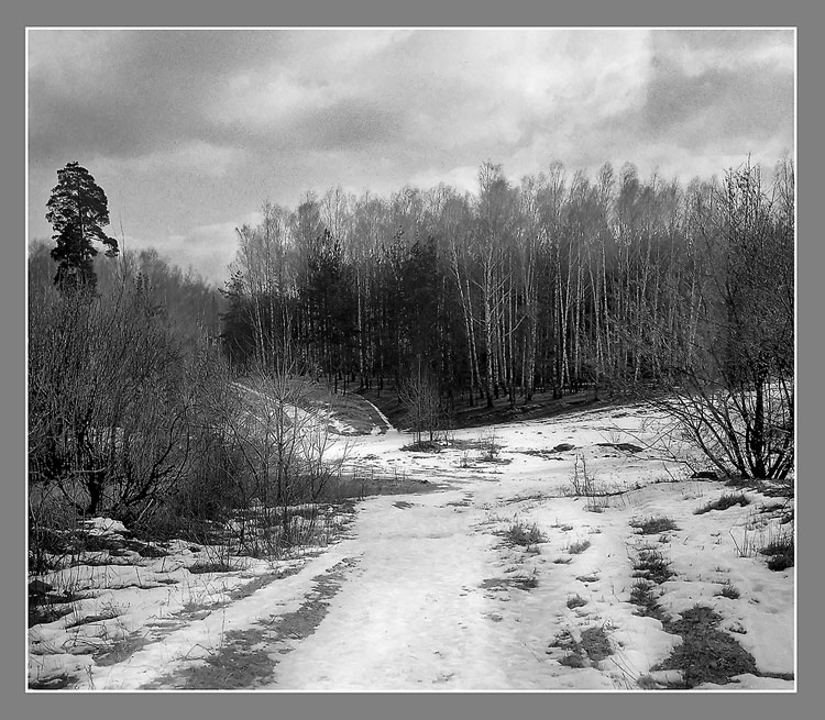 photo "March" tags: landscape, black&white, spring
