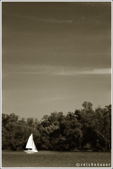 photo "Boat on the Rhine" tags: landscape, water