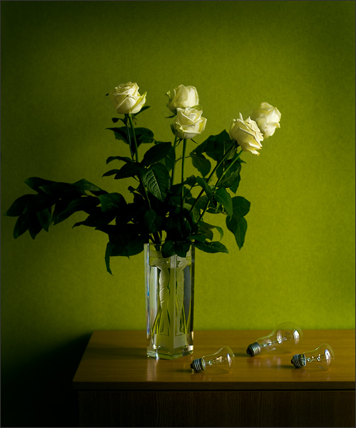 photo "lamps" tags: still life, 