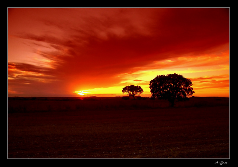 photo "Calm Field" tags: landscape, clouds, sunset