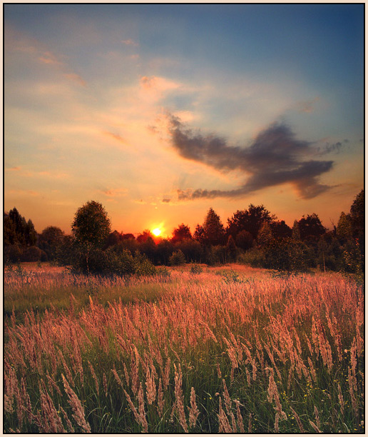 photo "Song" tags: landscape, sunset