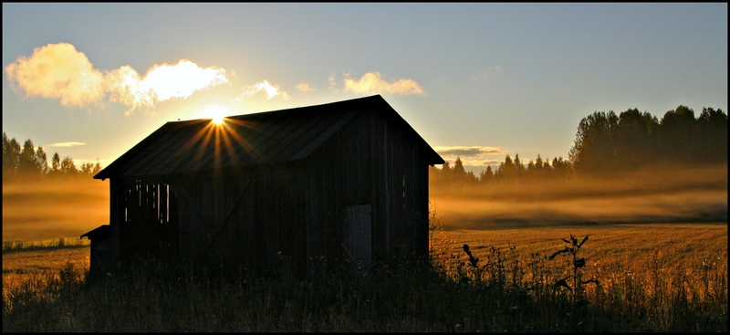 фото "Misty morning" метки: пейзаж, осень