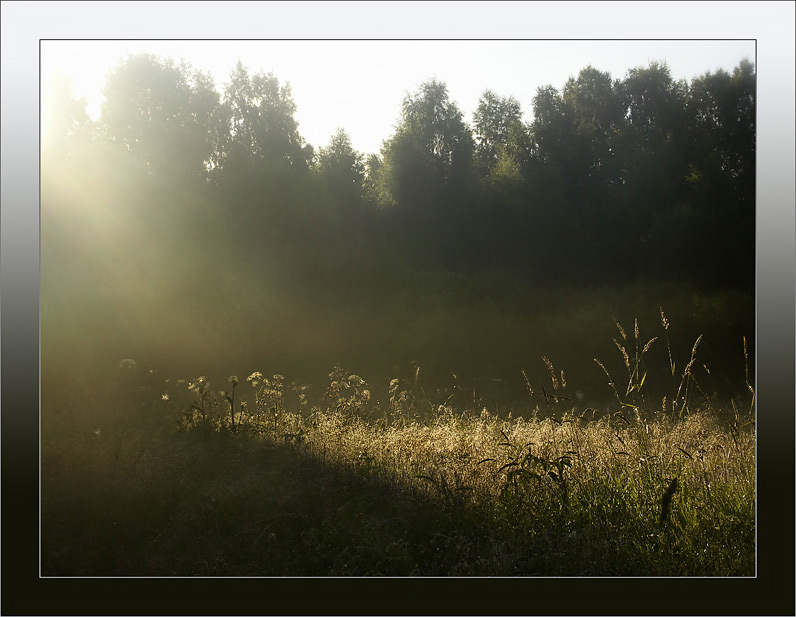 photo "Trace of a star" tags: landscape, summer