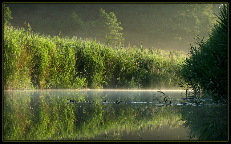 фото "Morning-haze" метки: пейзаж, лето