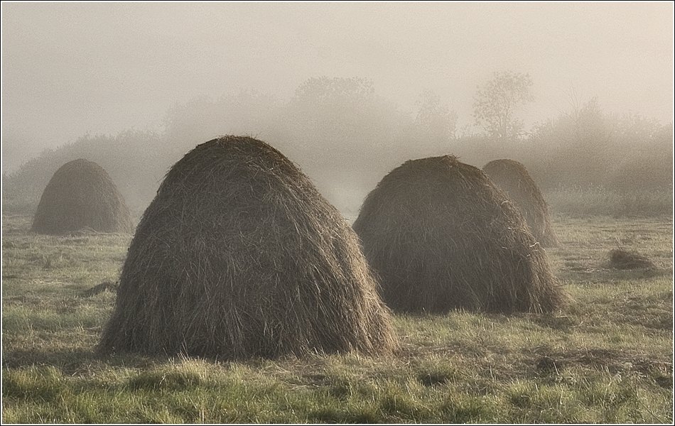 photo "Hay" tags: landscape, summer