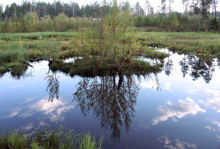 photo "Town marsh" tags: landscape, autumn, water