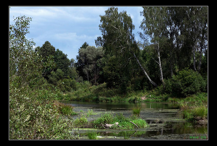 photo "Beavers live there..." tags: landscape, nature, 