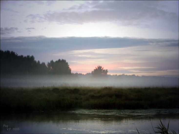 photo "Fog" tags: landscape, sunset