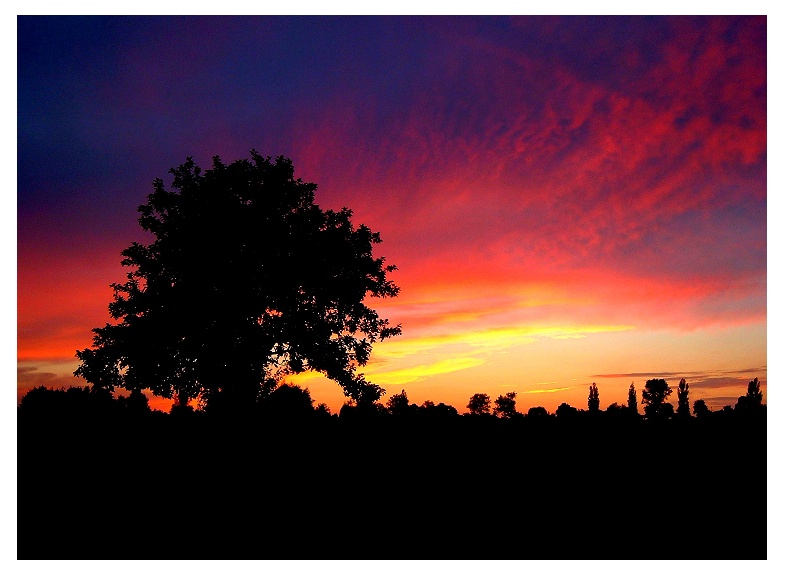 фото "Postcard from Neverland" метки: пейзаж, закат, осень