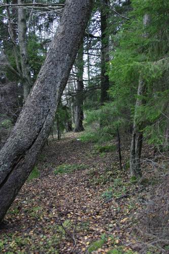 photo "Path" tags: misc., 