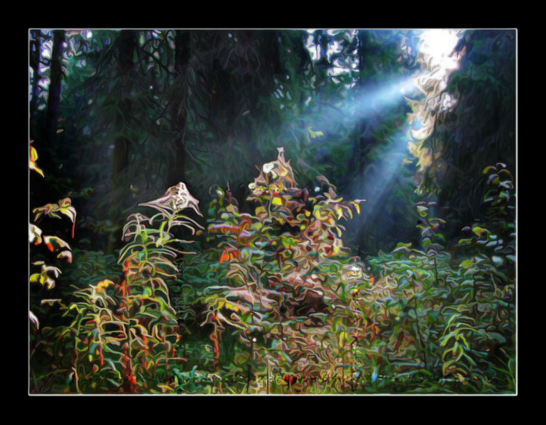 фото "Осеннее утро в лесу" метки: природа, фотомонтаж, цветы