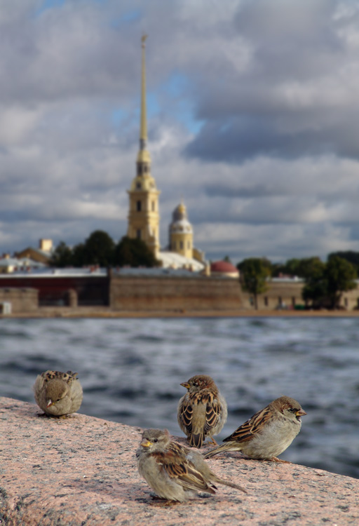 фото "Петербуржцы" метки: архитектура, жанр, пейзаж, 