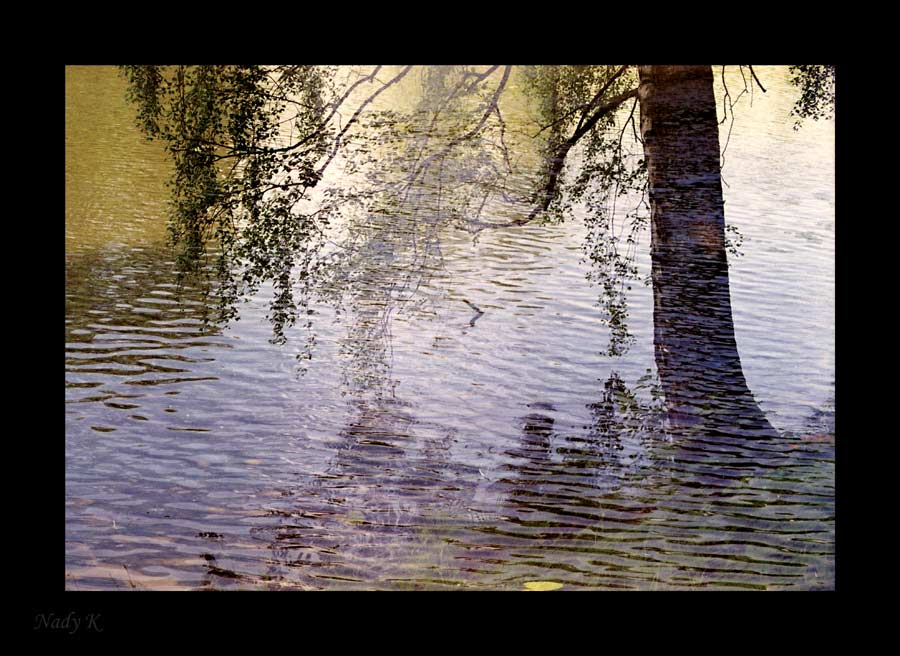 photo "The lazy wind has smoothed waves ..." tags: landscape, water