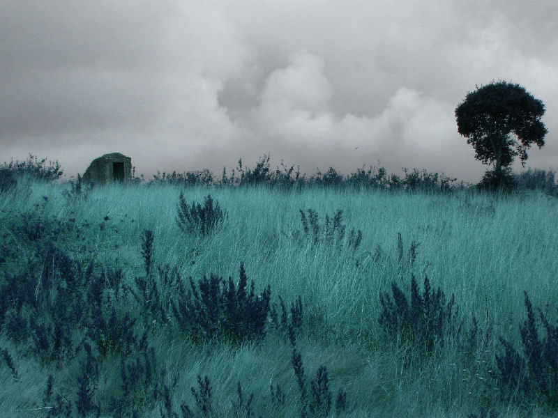 photo "dream land" tags: montage, 