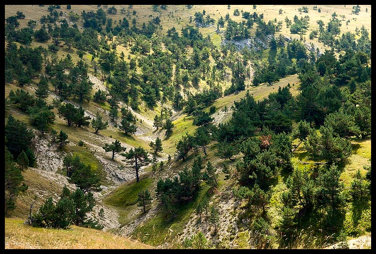 photo "On the plateau" tags: landscape, mountains