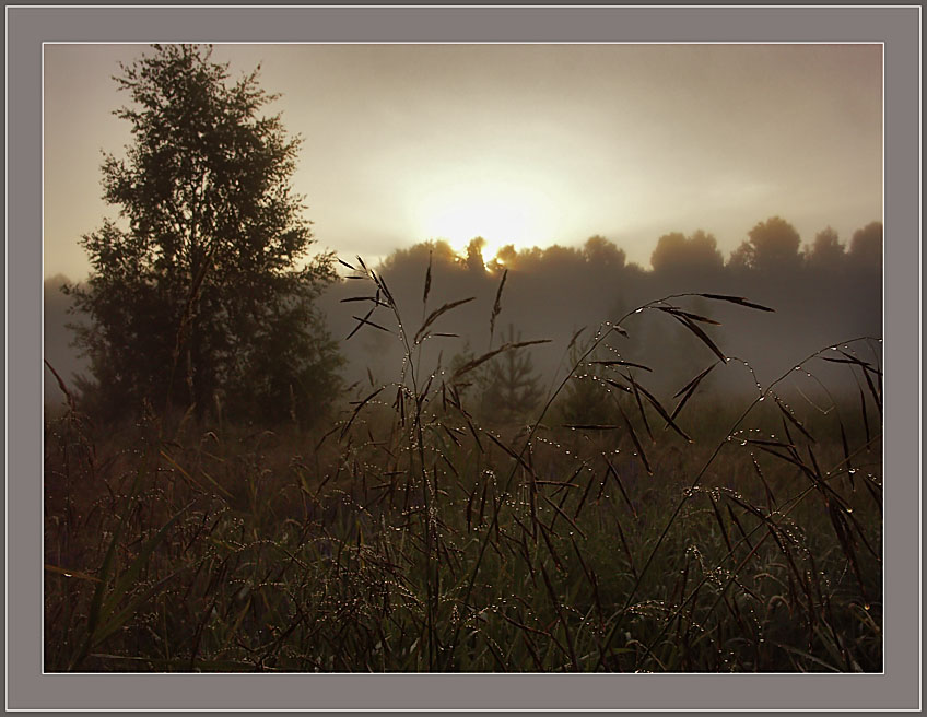 photo "Tears of night" tags: landscape, night, sunset