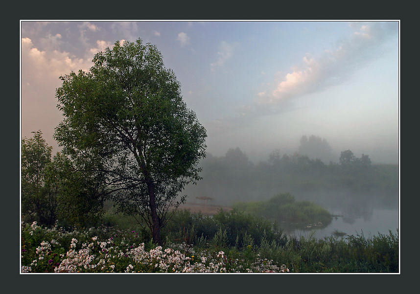 photo "When still sleep" tags: landscape, summer, sunset