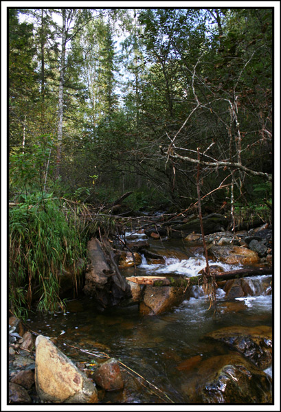 фото "Горная речка" метки: пейзаж, вода