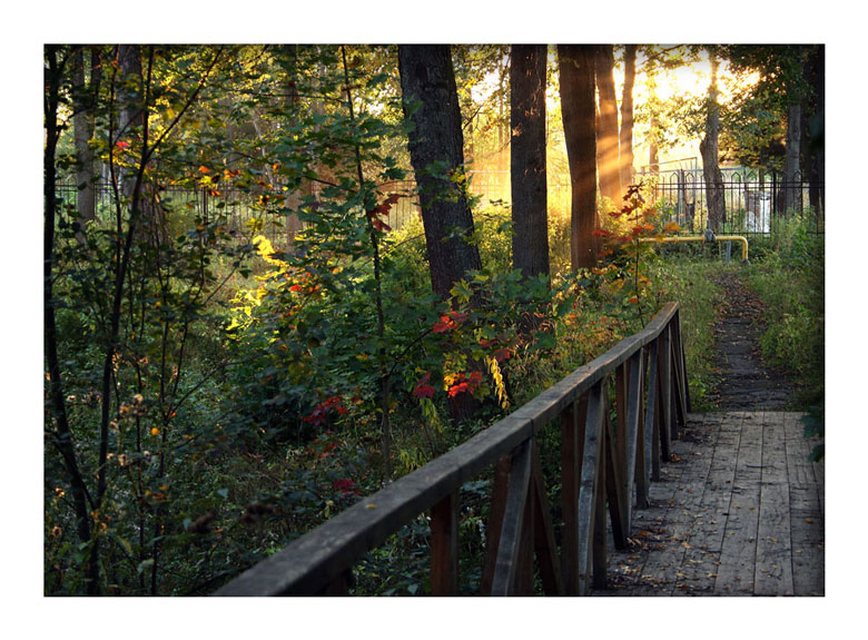 photo "Osennie zarisovki" tags: landscape, autumn