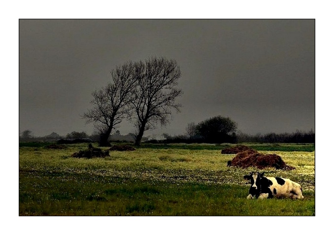 фото "Countryside" метки: пейзаж, зима