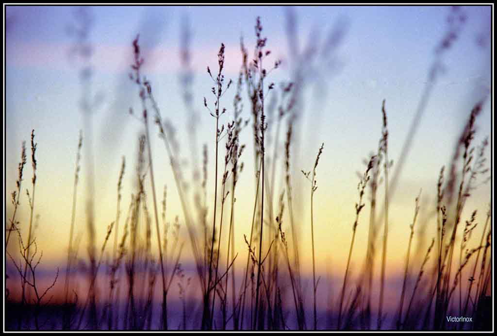 фото "Вечер" метки: пейзаж, закат