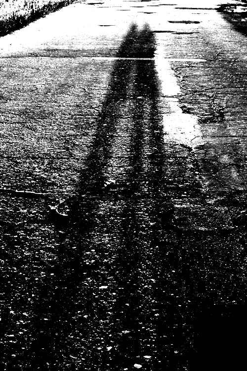 photo "shadows 2" tags: misc., landscape, sunset