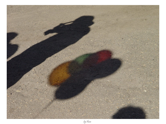 photo "Color Shadows" tags: misc., 