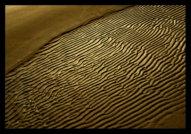photo "Gold sand" tags: landscape, 