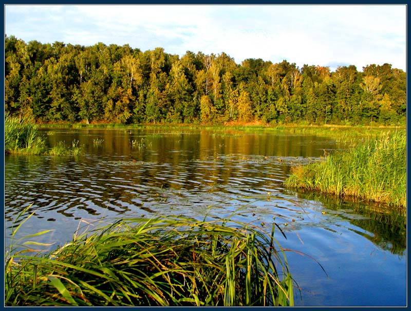 photo "" Again the autumn..."" tags: landscape, autumn