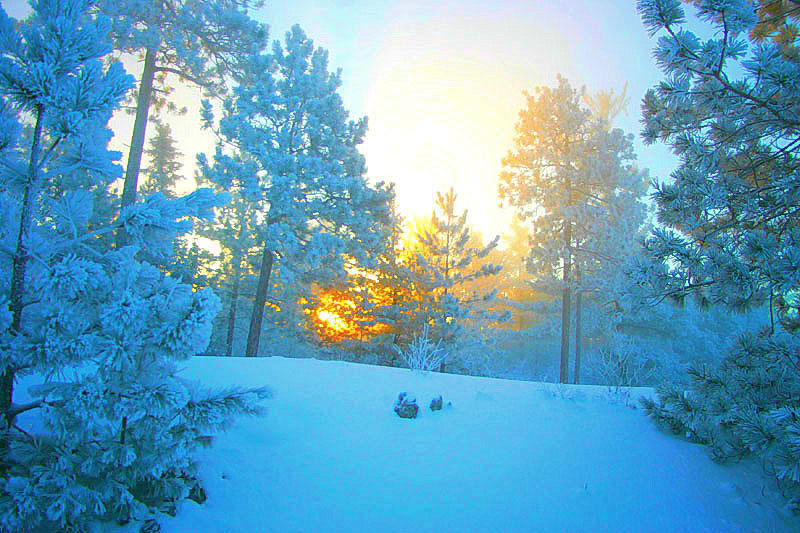 фото "first showing of winter sun" метки: пейзаж, зима