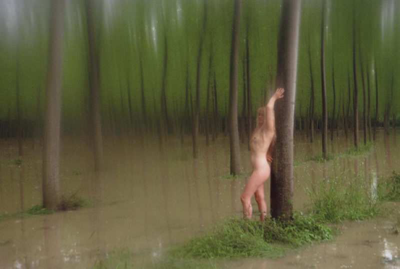 фото "Marsh" метки: ню, 