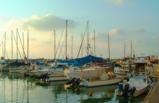 photo "Laborers patricians of the sea" tags: landscape, 