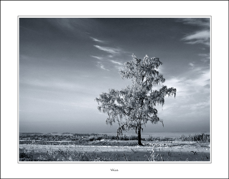 photo "Voice" tags: misc., landscape, clouds