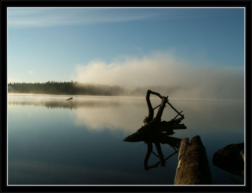 фото "Туман" метки: пейзаж, вода, лето