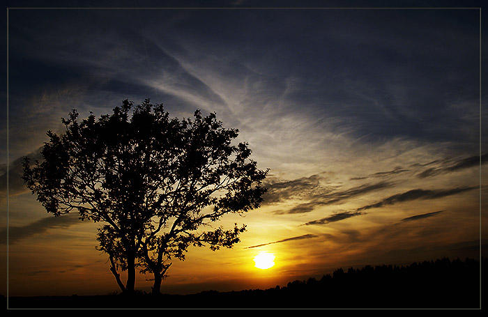 photo "Decline in the African savanna" tags: landscape, summer, sunset