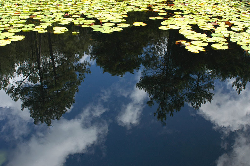 photo "Reflection in the lake" tags: landscape, clouds, water