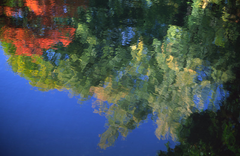 photo "Fall Reflection" tags: landscape, abstract, autumn