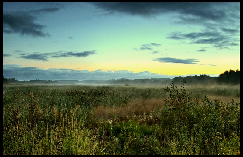 photo "Morning light" tags: landscape, autumn
