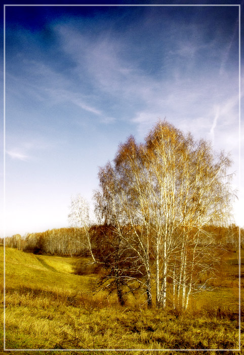 photo "landscape" tags: landscape, spring