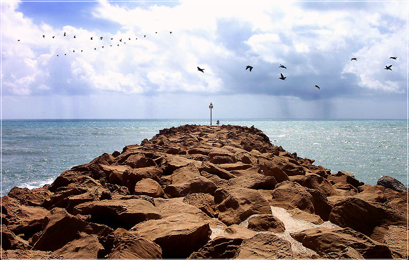 photo "Un Camino en el Mar" tags: travel, landscape, North America, water