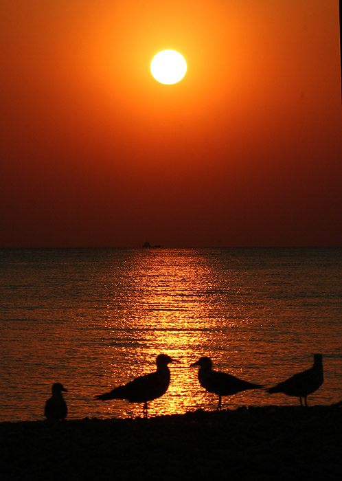 photo "..." tags: landscape, sunset