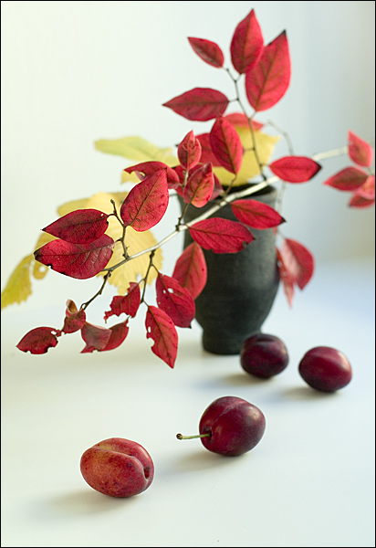 photo "Сливки" tags: still life, 