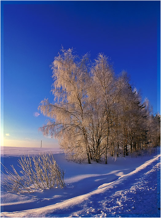 photo "Winter morning" tags: landscape, sunset, winter